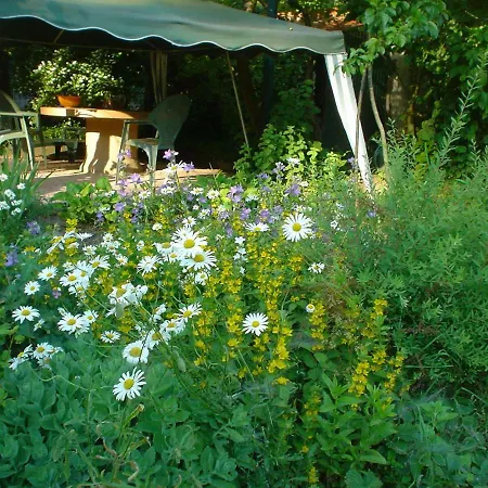 住宿加早餐酒店 Entre Musique Et Fleurs Ingwiller