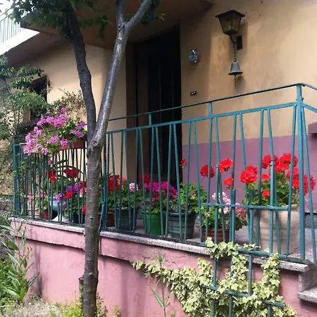 住宿加早餐酒店 Entre Musique Et Fleurs Ingwiller